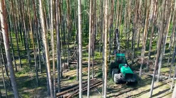 工作拖拉机在森林里砍树环境问题毁林伐木视频的预览图