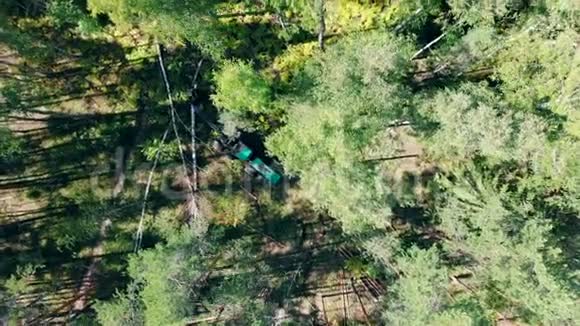 工作机器在树林里砍树砍伐森林和伐木概念视频的预览图