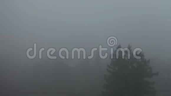 4k在灰烬中被浓雾和暗雾包围的树木上方的空中慢速运动视频的预览图