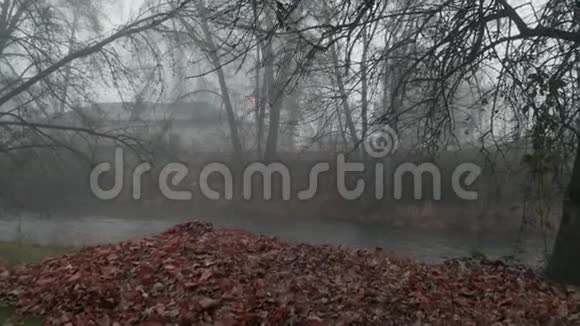 4k空中拍摄拍摄于棕色树叶和雾状背景下的爬行树视频的预览图