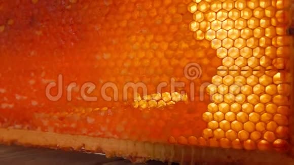 在阳光下拍摄充满蜂蜜的蜂窝视频的预览图