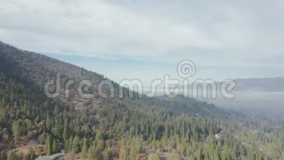 4k空中飞射高飞越树木向山和雾毯视频的预览图