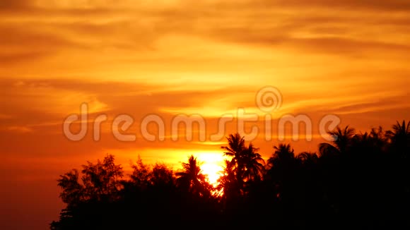 棕榈树映衬着夕阳的天空泰国视频的预览图