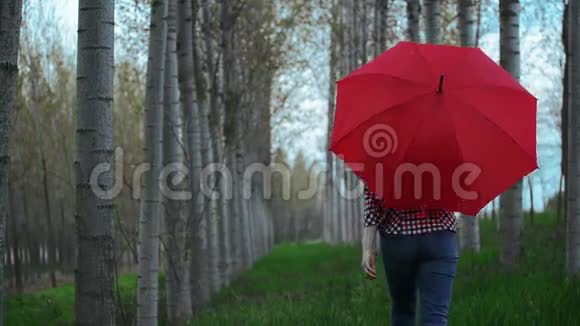 一个带着红伞的女人在多云的午后穿过树巷从镜头前走开视频的预览图