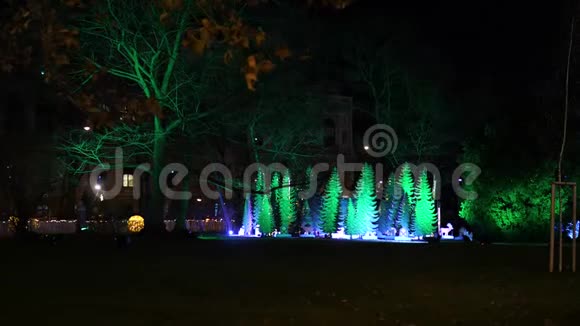 美丽的圣诞树灯奥地利的城市装饰视频的预览图