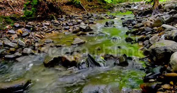 纸船漂浮在湍急的森林溪流中视频的预览图