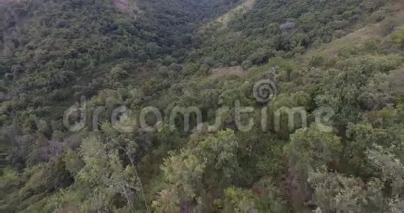 在森林中的乡村道路上从上到下4k空中俯瞰视频的预览图