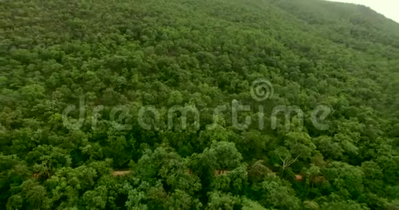 鸟瞰森林美丽的群山覆盖着绿树视频的预览图
