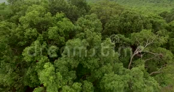 空中无人机飞过印度森林视频的预览图