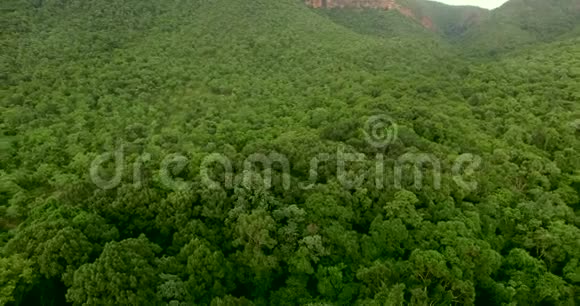 空中拍摄令人惊叹的绿色森林覆盖着绿色热带森林的山脉令人惊叹的景观视频的预览图