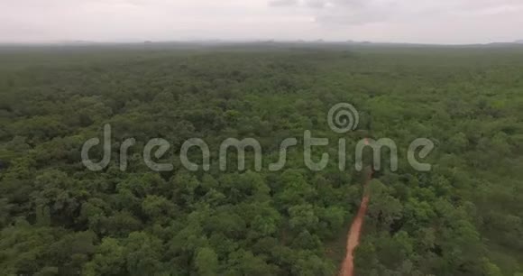带着绿色热带森林背景的群山视频的预览图