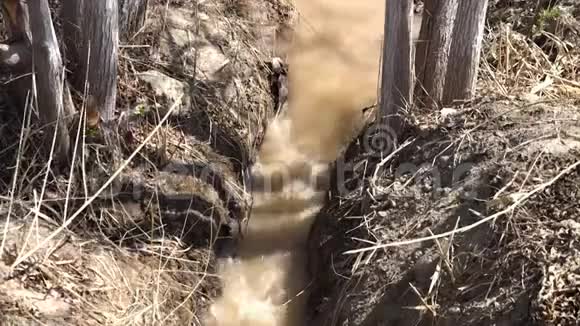 溪流流过干燥的田野视频的预览图