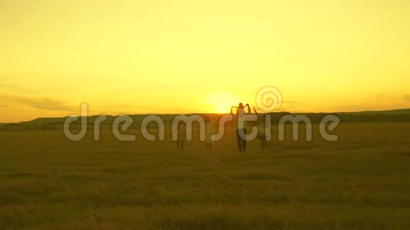 幸福的年轻家庭带着一个孩子在夕阳下跑过田野母亲父亲和女儿视频的预览图