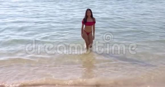 穿着红色泳衣的迷人黑发女郎站在海滩上视频的预览图
