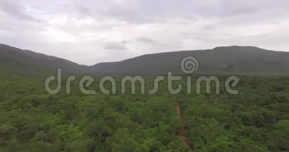 带着绿色热带森林背景的群山视频的预览图
