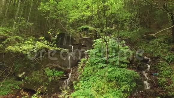 夏日森林深处的小瀑布和苔藓岩石视频的预览图