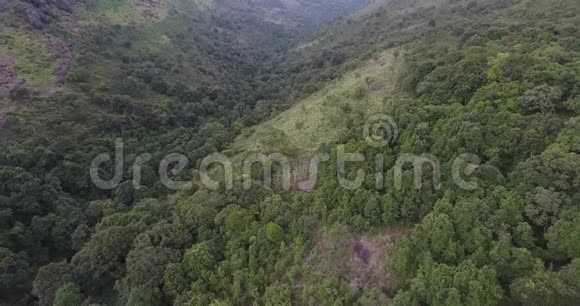 空中观景台飞过美丽的山和美丽的森林视频的预览图