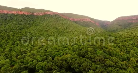 印度乡村风景中一片美丽的绿色森林上空飞行的4K航空视频的预览图