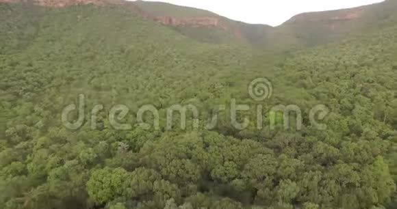 印度乡村风景中一片美丽的绿色森林上空飞行的4K航空视频的预览图