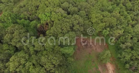 印度乡村风景中一片美丽的绿色森林上空飞行的4K航空视频的预览图