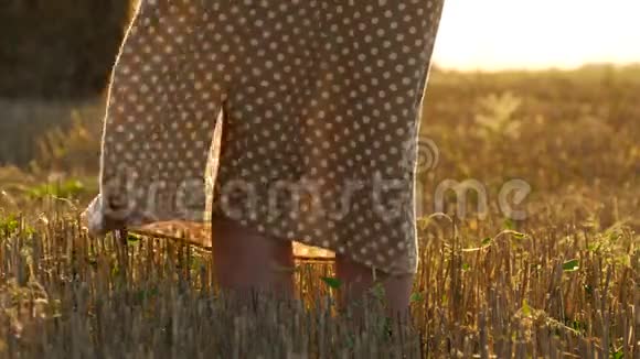 农业和收获的概念女人的衣服随风而动女孩双腿合拢视频的预览图