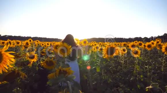 日落时小女孩沿着向日葵的田野在蓝天下奔跑阳光照在背景上跟随女人慢跑视频的预览图
