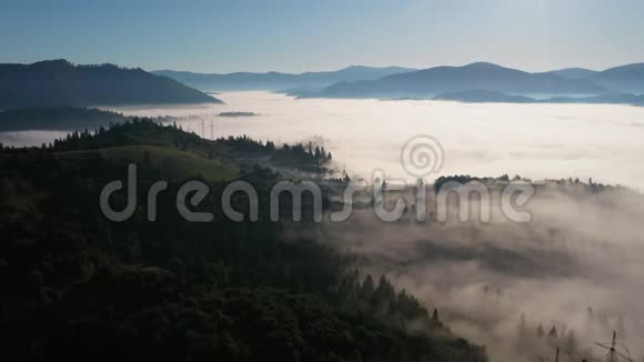 在一个美丽的秋日笼罩在晨雾中的彩色混合森林的空中景色视频的预览图