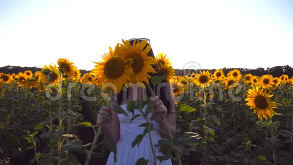 年轻的微笑的女人在夕阳下的蓝天下的田野里玩向日葵有趣的女孩躲在花后面视频的预览图