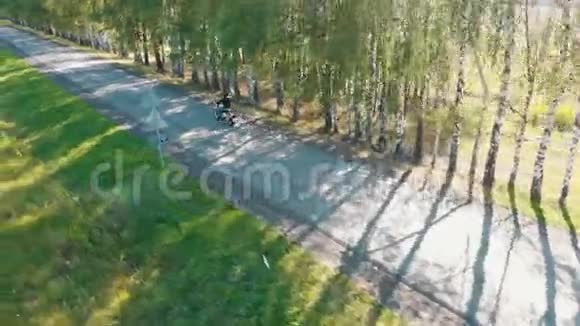 一个骑摩托车的人在白桦林里开车视频的预览图