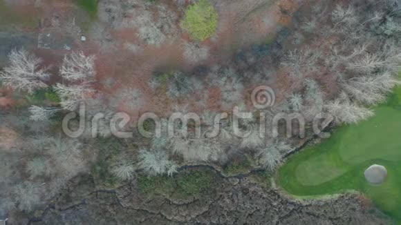 在俄勒冈州高尔夫球场旁边的带有棕色树木的Groves上观看4k空中景色视频的预览图