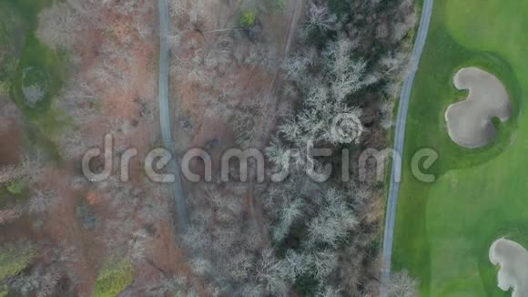 在高尔夫球场旁边的枯树环绕的已废弃道路上观看视频的预览图
