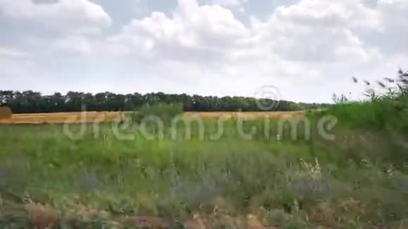 干草收获播种草地视频的预览图