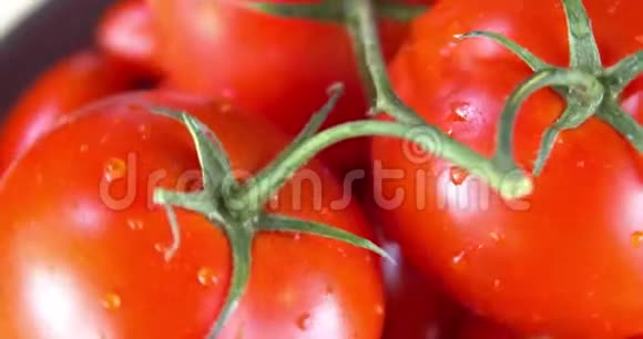 新鲜西红柿黑盘上有一滴水视频的预览图