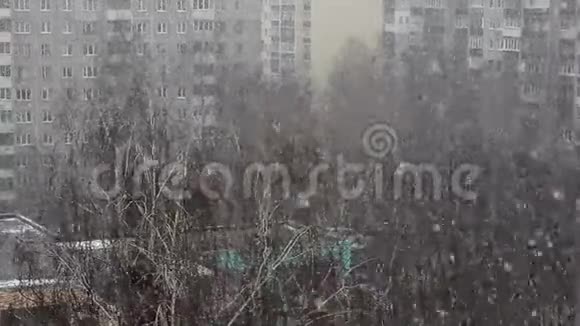 多层房屋和树木背景下的城市降雪视频的预览图