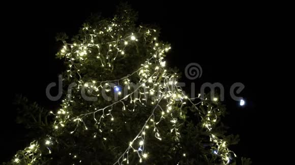 圣诞树上有灯光月亮围绕着FDV视频的预览图
