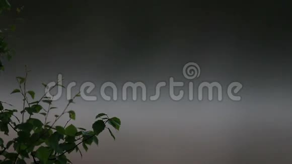 芬兰的薄雾湖森林视频的预览图