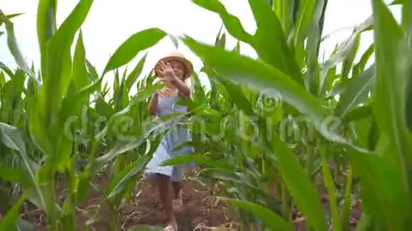 在阴天时戴着草帽的快乐小孩子通过玉米地跑到镜头前漂亮可爱的女孩视频的预览图
