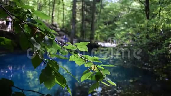 OchiulBeului罗马尼亚Beusnita国家公园Nera峡谷上的一个翡翠小湖视频的预览图