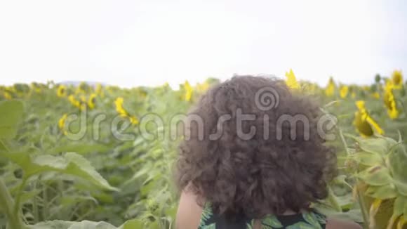 迷人的卷曲女人走在向日葵的田野上明亮的黄色自由概念户外快乐的女人慢慢视频的预览图
