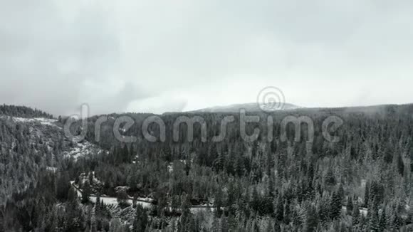 4k以大山为背景的飞越森林的雪花飞行视频的预览图