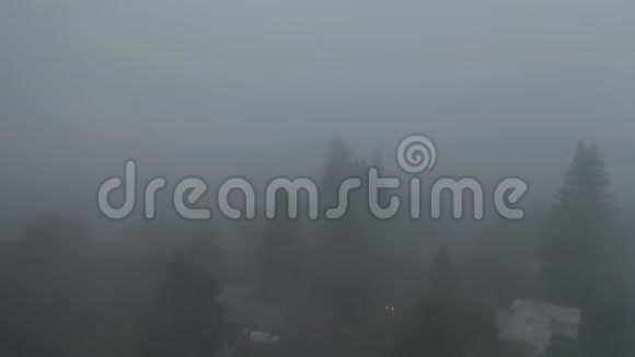 雾天树上的慢动作视频模糊的阿什兰景色视频的预览图