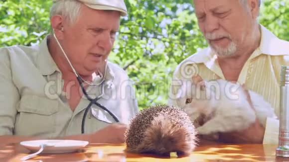老人用听诊器检查猫并与朋友交谈视频的预览图