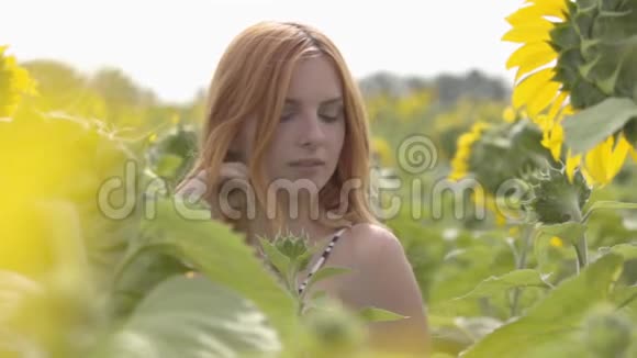 可爱自信性感女孩的肖像红色的头发和绿色的眼睛站在向日葵的田野上美的概念视频的预览图