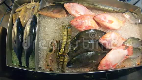 冰上的鱼和虾躺在街头集市的柜台上视频的预览图
