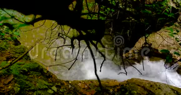 瀑布环绕着摇曳的树枝和树木视频的预览图