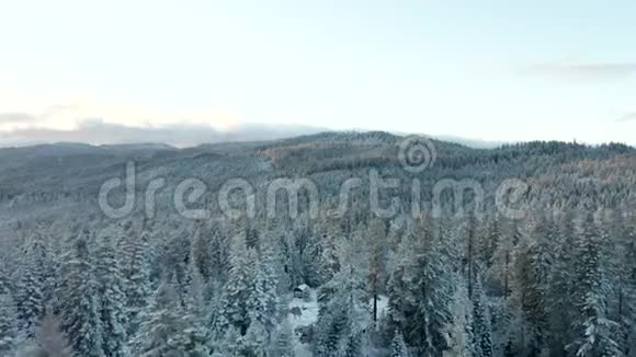 4k鸟瞰雪山森林俯瞰山脉山谷视频的预览图