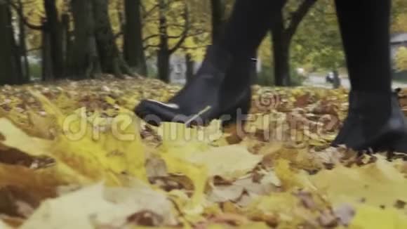 一个女人在秋天的公园里慢慢地走在落叶上落叶开始了视频的预览图