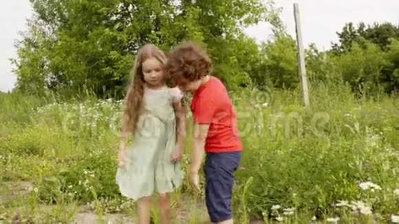 在暑假的时候一个卷曲的男孩和一个女孩看着花在绿色的田野上散步哥哥给姐姐开花视频的预览图