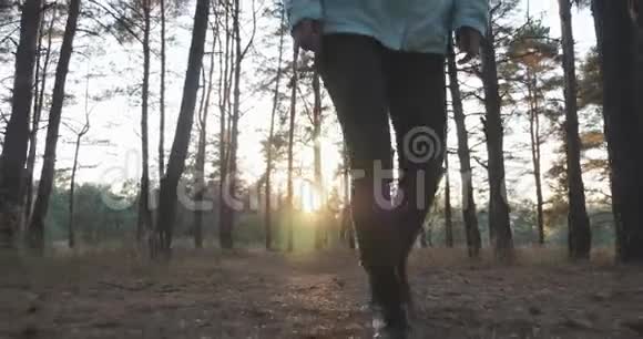 年轻的女游客穿着蓝色夹克牛仔裤和旅游靴在秋天的森林里散步日落在松间行走的女旅行者视频的预览图