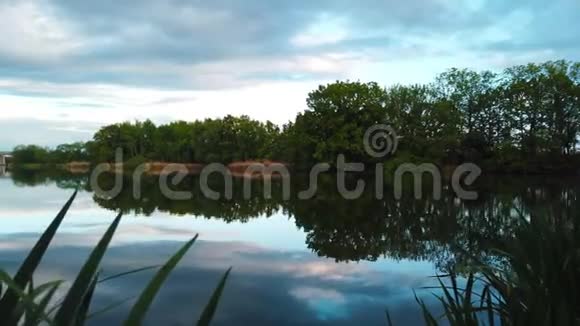 森林湖景全景视频的预览图